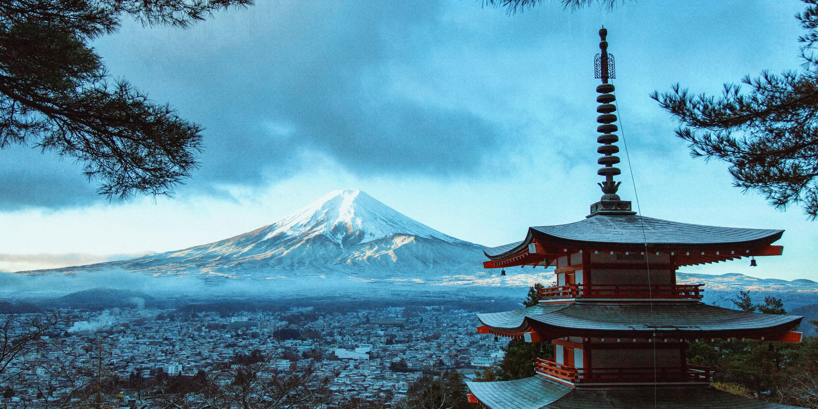 Cold Print 800 film filter, after